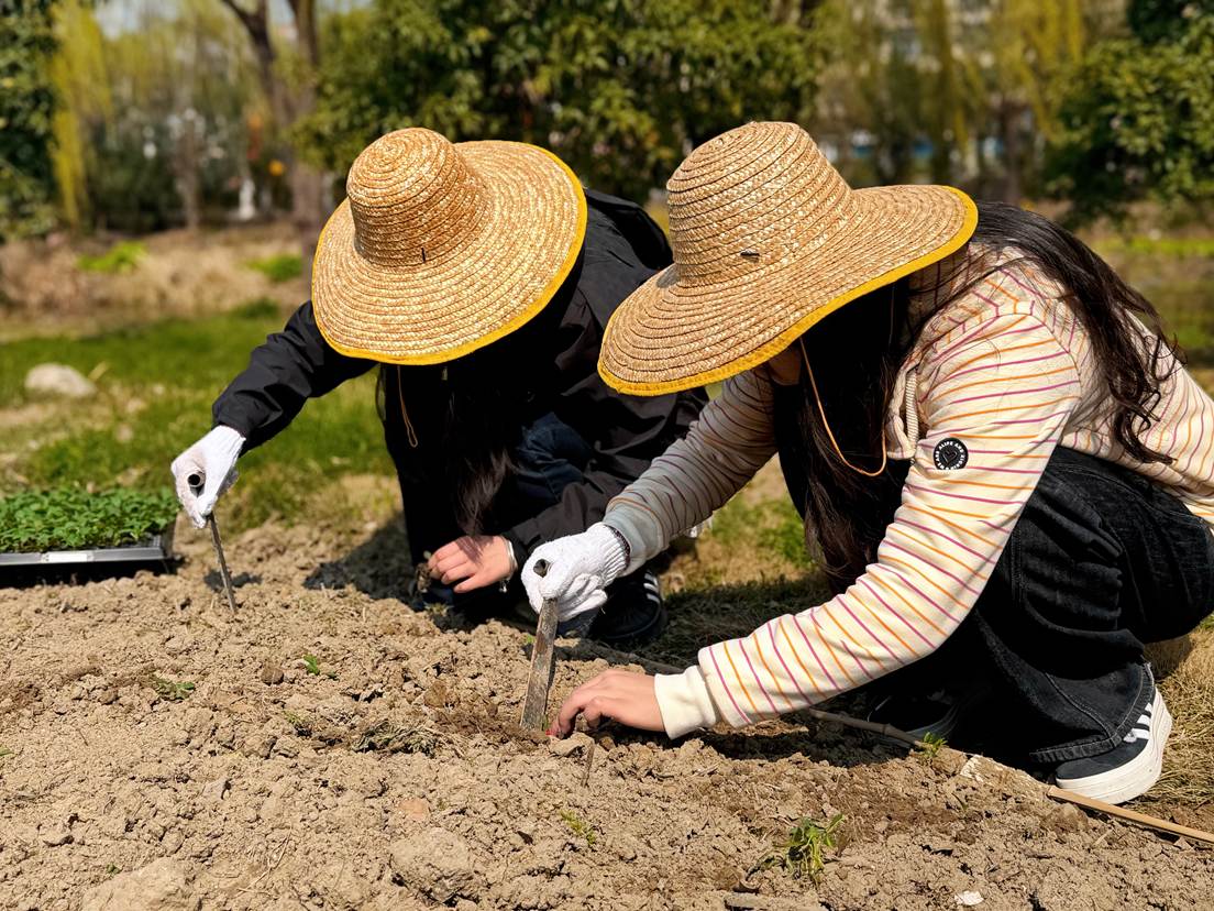 d9c6c23393af726dbbadba128dda742d